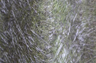 Alt fibreglass roof work